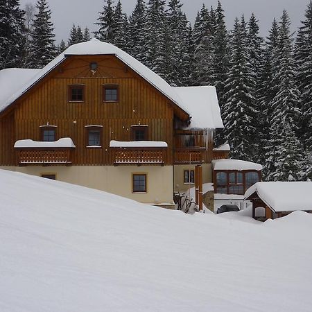 Penzion Melkus Pec pod Sněžkou Exterior foto